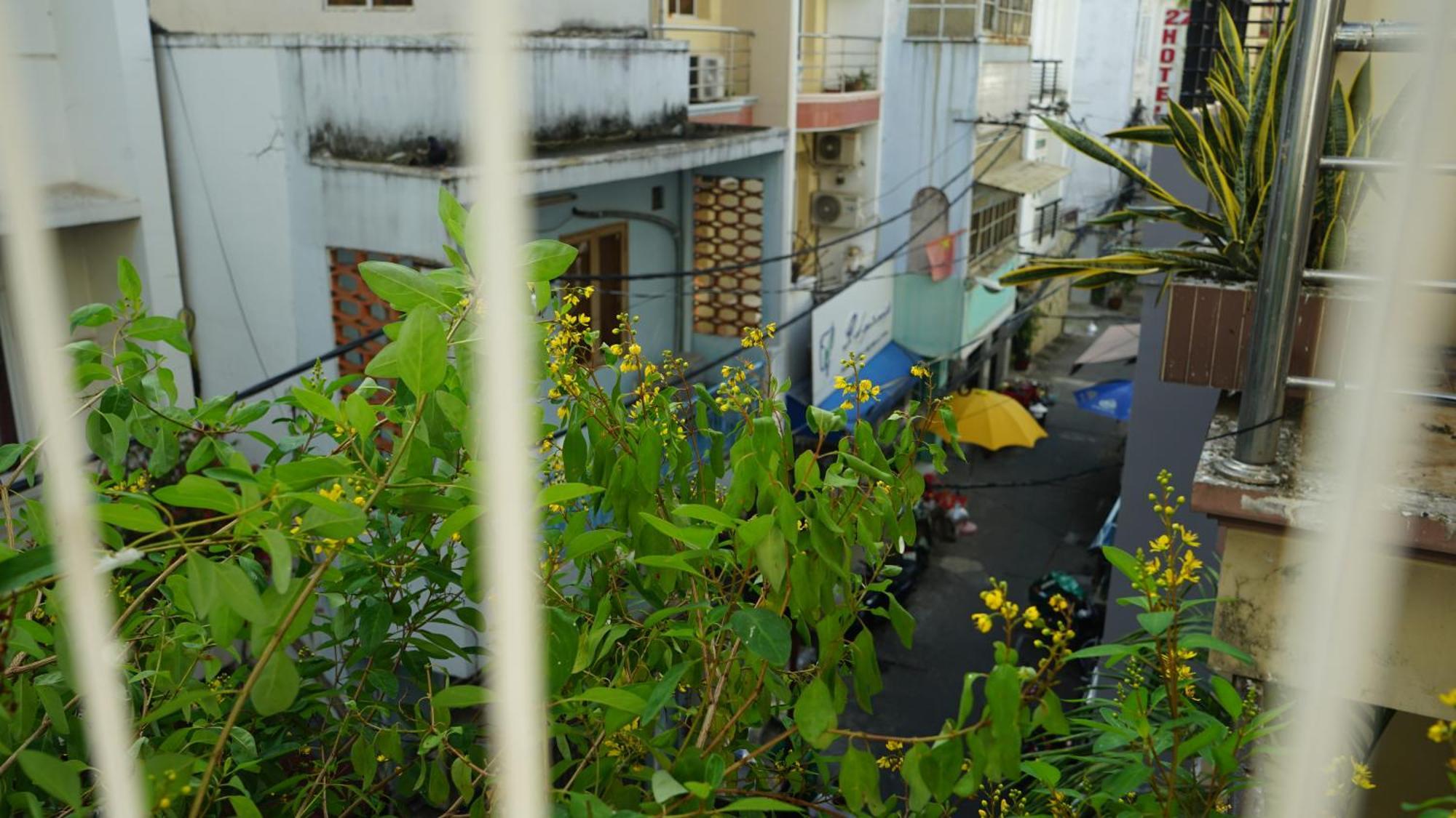 Maiam Homestay ホーチミン市 エクステリア 写真